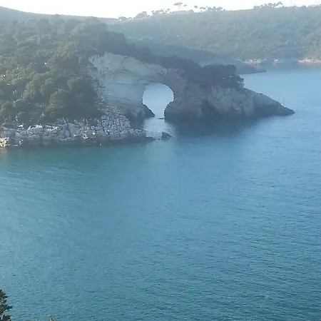 Pegaso San Giovanni Rotondo